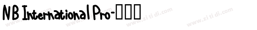 NB International Pro字体转换